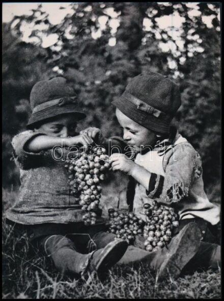 cca 1925 Habzsi-dőzsi szüret idején, Kerny István (1879-1963) budapesti fotóművész hagyatékából 1 db mai nagyítás, 17,7x24 cm