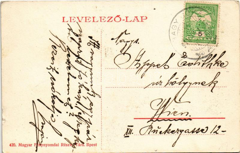 1910 Jóka, Jelka; Szék utca, Kereszt szobor, Csemez és Reisig kastély / street, castles - Image 2