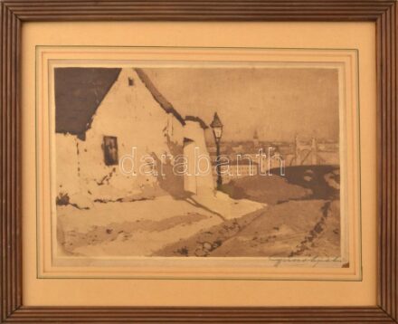 Szentgyörgyvári Gyenes Lajos (1890-1971): Tabáni részlet (háttérben a régi Erzsébet híd). Akvatinta, papír, jelzett, Üvegezett fakeretben, 21x28 cm