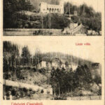 1913 Csucsa, Ciucea; Boncza kastély, Lázár villa / castle and villa
