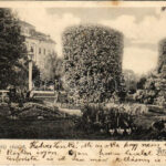1904 Arad, Salacz parki részlet. Révész Nándor kiadása / park (EK)