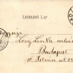 1904 Arad, Salacz parki részlet. Révész Nándor kiadása / park (EK) - Image 2