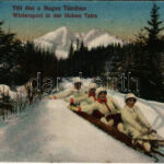 1918 Tátra, Vysoké Tatry; Téli élet a Magas Tátrában, irányítható szánkó / winter sport, toboggan, sled, controllable bob sleigh (EK)
