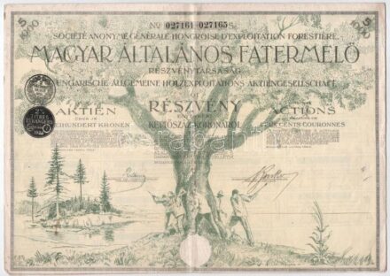 Budapest 1924. 'Magyar Általános Fatermelő Részvénytársaság' öt részvénye egyben, egyenként 200K-ról, magyar-német-francia nyelven, szárazpecséttel, francia felülbélyegzésekkel T:III tűlyukak / Hungary / Budapest 1924. 'Magyar
