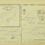 1940 M. Kir. 207/3. KLGS Munkásszázad zsidó munkaszolgálatos által hazaküldött levelezőlapok, 9 db, mindennapi élet beszámolóival, családról való érdeklődéssel - Image 3