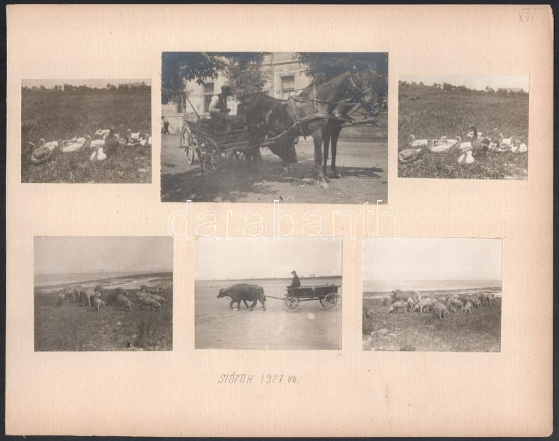 1923-1927 Siófoki strandolók, életképek, 26 db különböző méretű fotó 7 db albumlapon - Image 3