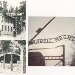 Auschwitz-Birkenau, Oswiecim-Brzezinka; Concentration camp / koncentrációs tábor - 10 db modern képeslap / 10 modern unused postcards - Image 2