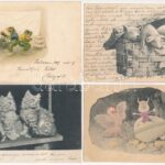 11 db RÉGI állatos képeslap / 11 pre-1945 animal postcards - Image 2