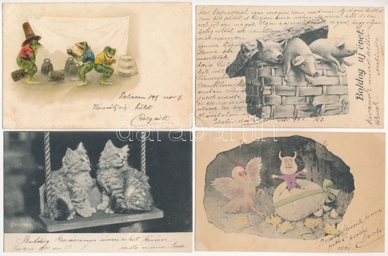 11 db RÉGI állatos képeslap / 11 pre-1945 animal postcards - Image 2