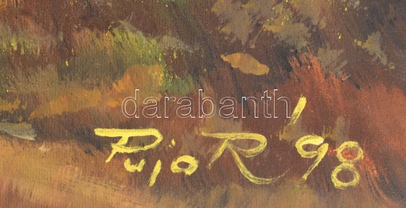 Puja Rezső (?- ): Az ősz színei. Olaj, vászon, jelzett, fakeretben, 50x75 cm - Image 2