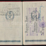 1953 Bp., Magyar Népköztársaság által tűzoltó számára kiállított, a Szovjetunióba érvényes igazolvány - Image 3