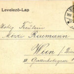 1906 Szatmárnémeti, Satu Mare; Pannonia szálloda, Halász Mór és Roth üzlete. Lövy M. kiadása / hotel, shops - Image 2