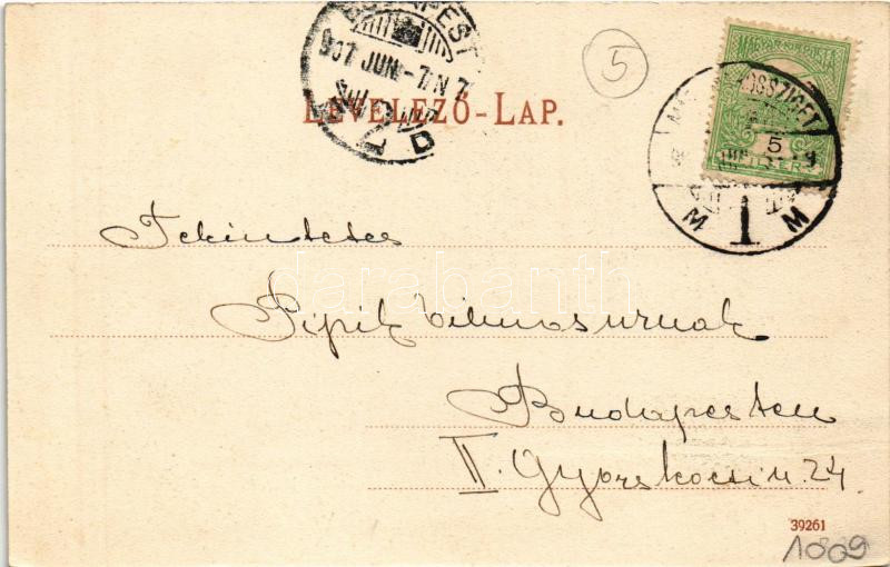 1901 Szlatinafüred, Slatina (Aknaszlatina, Máramaros); Pável sósfürdő. Berger Miksa kiadása / salt spa, villa (EK) - Image 2