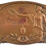 1933. 'MAOSZ Miskolci Csoportja 1933. / I. díj' bronz díjplakett (45mm) T:2