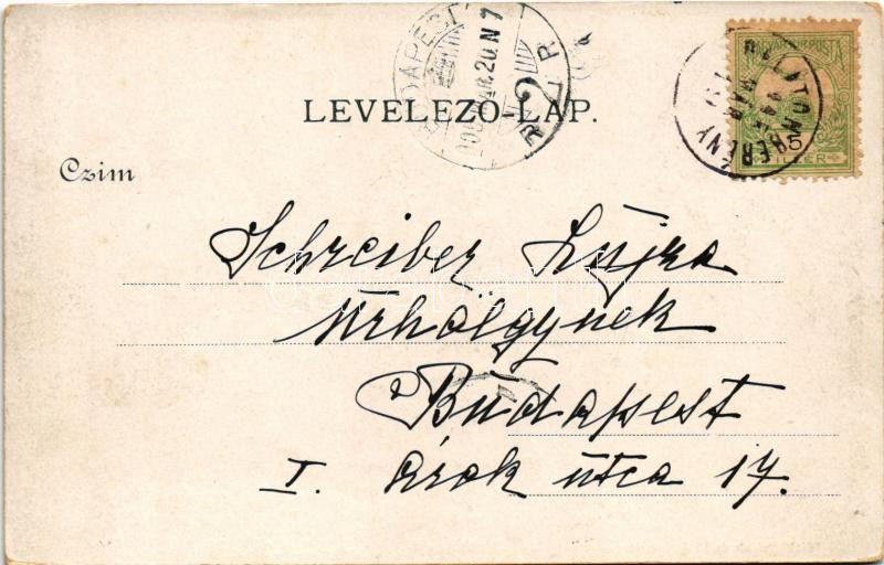 1905 Balatonberény, Berény; vasútállomás. Fischl Jakab és fiai kiadása - Image 2