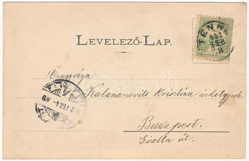 1902 Tenke, Tinca; vasútállomás, hajtány. Lévy Dávid kiadása / railway station, rail car - Image 2