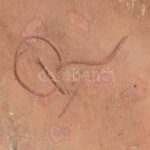 Retró kerámia váza, jelzett, hibátlan, m: 15,5 cm - Image 2