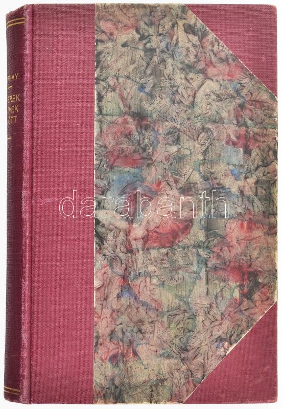 Tormay Cécile: Emberek a kövek között. Regény. Bp., 1911., Franklin. Első kiadás. Átkötött félvászon-kötés. - Image 2