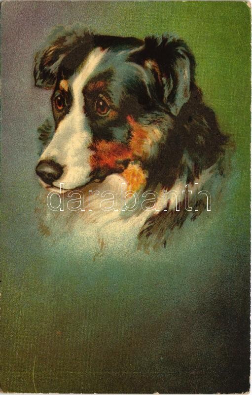 Dog. Wenau-Postkarte Wenau-Pastell Nr. 613. (Rb)