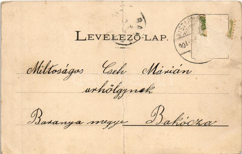 1904 Kistapolcsány, Topolcianky; József kir. herceg kastélya (régi Rákóczi udvar), út / castle, courtyard, road (fa) - Image 2