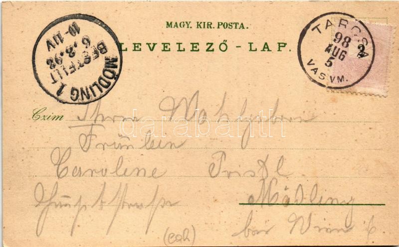 1898 (Vorläufer) Tarcsa, Tarcsafürdő, Bad Tatzmannsdorf; Miksa-forrás, Gyógyudvar, Forrás épület, Gyógytér és Károly-forrás, Karolina villa, Mária villa, Anna fürdő / spa, spring source, villa, bath. Art Nouveau, floral, litho - Image 2