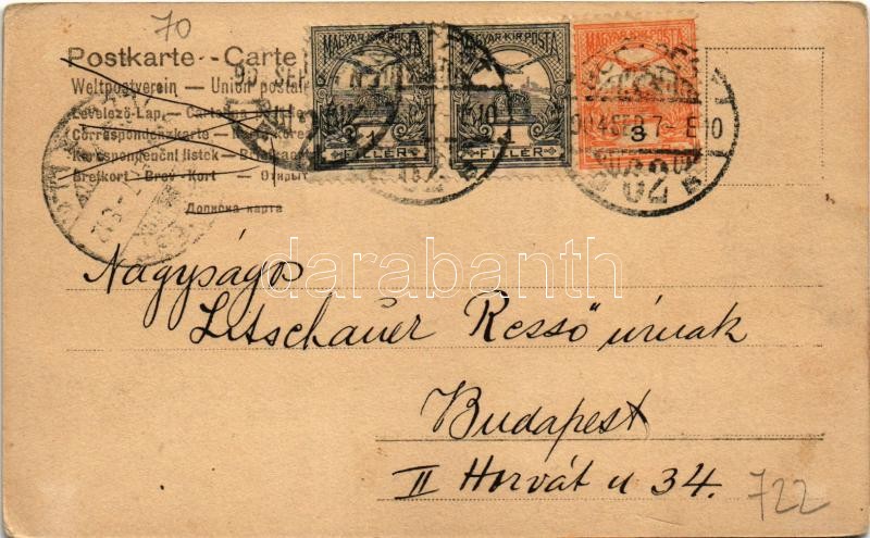1904 Dog. Serie 86-2186. (EK) - Image 2