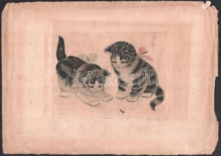 Olvashatatlan jelzéssel: Cicák. Akvarellel színezett rézkarc, papír, kissé foltos, lap széle sérült, 15×20 cm