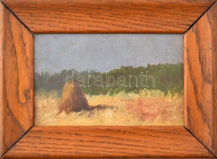 Jelzés nélkül: Szénakazal. Olaj, karton, fakeretben, 8x13 cm