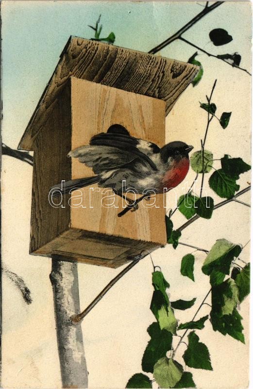1906 Bird. A.B.D. Serie 273.