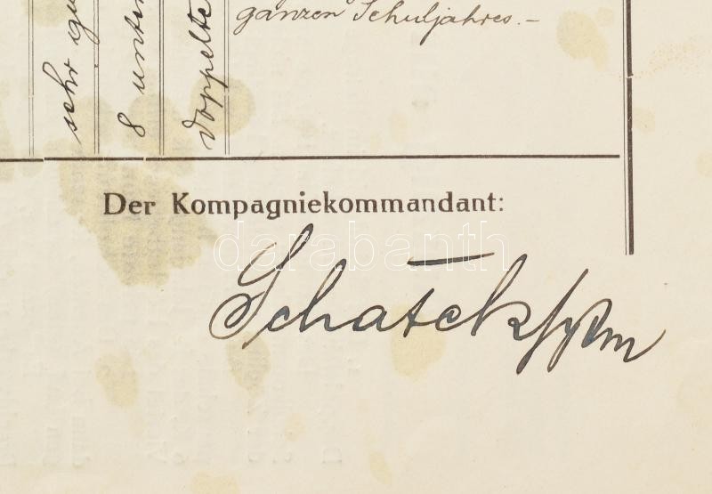 1917 a kismartoni cs. és kir. katonai főreáliskola bizonyítványa August Endrődi részére - Image 3