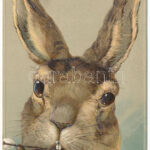 Kellemes húsvéti ünnepeket! Dombornyomott litho nyuszi / Easter greeting, rabbit. Embossed litho, Erika Nr. 4110.