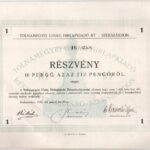 Szekszárd 1926. 'Tolnamegyei Újság Hírlapkiadó RT. Szekszárdon' részvénye 10P-ről szelvényekkel T:II