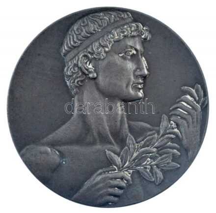 1948. 'Pesti Hazai Első Takarékpénztár Egyesület Sportköre - Érdem jeléül 1948' fém emlékérem (50mm) T:2