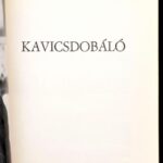 Prokop Péter: Kavicsdobáló. Róma, 1987, szerzői magánkiadás. Egészoldalas fotókkal illusztrálva. Kiadói papírkötés. - Image 2