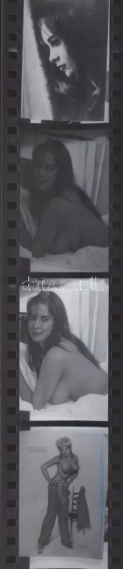 Akt repró negatívok, 8 tekercs - Image 3