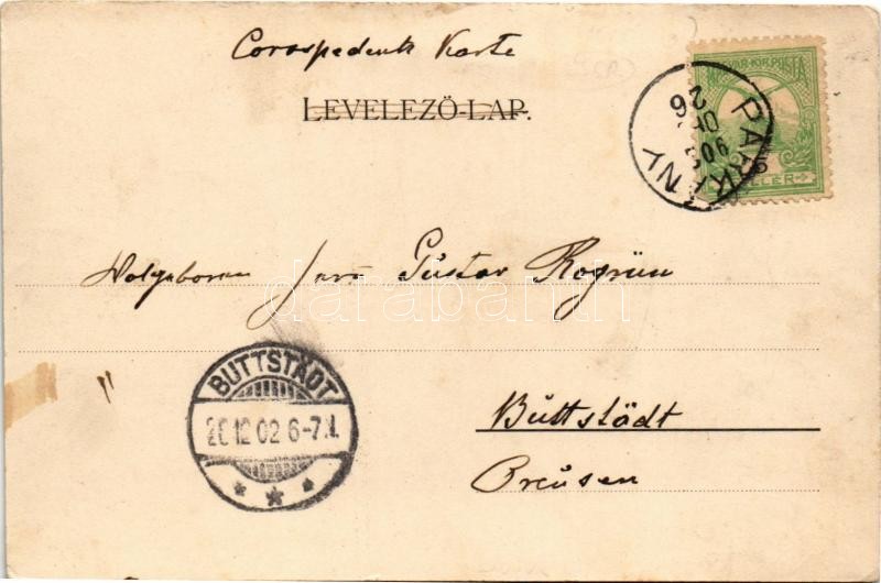 1902 Párkány, Stúrovo; Gyógyszertár, gyógytár. S. J. kiadása / pharmacy, street view (EK) - Image 2