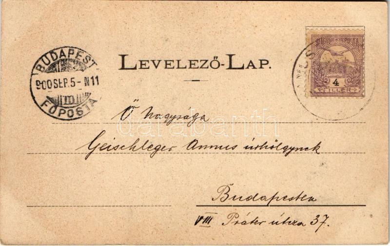 1900 Tapolyhanusfalva, Hanusfalva, Hanusovce nad Toplou; Fő utca, Béla-telep. Divald Adolf 124. / street view - Image 2