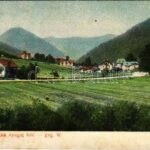Fenyőháza, Lubochna; nyugat felé, nyaralók. Feitzinger Ede 651. A.J. 1904/14. / general view, villas (EK)