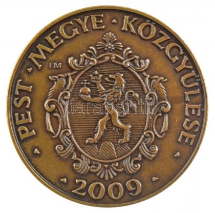 Ecsedi Mária (1941- ) 2009. 'Ezeréves vármegyék 1009. / Pest Megye Közgyűlése 2009.' bronz emlékérem dísztokban, tanúsítvánnyal (42,5mm) T:1-