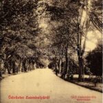 1907 Zsombolya, Jimbolia; Gróf Csekonics féle kastély kert részlete. W.L. 430. / castle garden, park (EB)