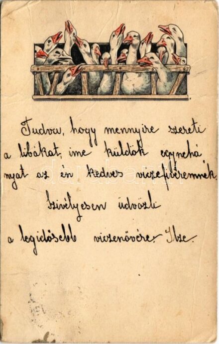 1900 Libák. dombornyomott / Geese, embossed (fa)