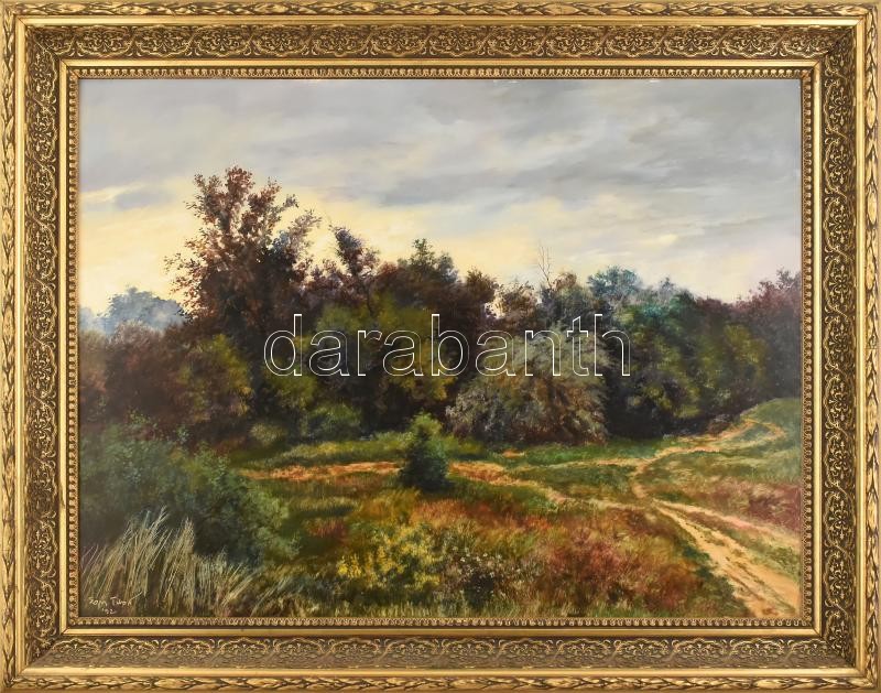 Egri Tibor ( - ): Alkony. Olaj, farost, jelzett, 60×80 cm Keretből kijár