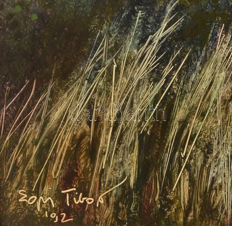 Egri Tibor ( - ): Alkony. Olaj, farost, jelzett, 60×80 cm Keretből kijár - Image 2