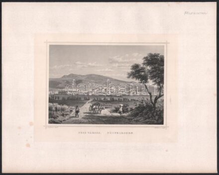 cca 1860 Ludwig Rohbock (1820-1883)-Georg Michael Kurz (1815-1883): Pécs városa, Pest, Lauffer és Stolp, acélmetszet, jelzett a dúcon, 12x17 cm, teljes: 32x24 cm