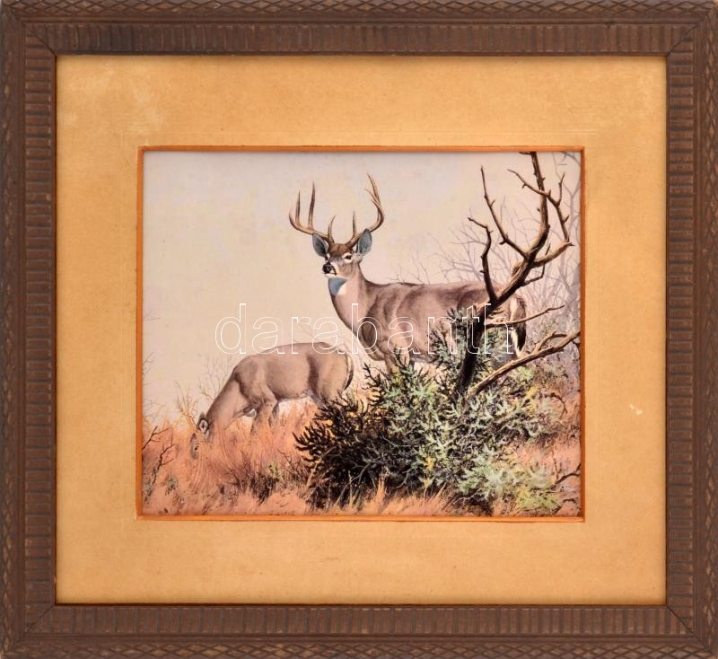 Üvegezett fakeret szarvasokat ábrázoló nyomattal. 34x39,5 cm belső mérettel.
