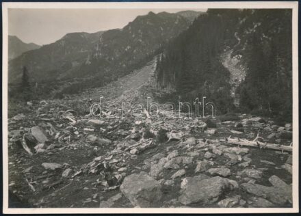 cca 1910 Fogarasi-havasok, Erdélyi Mór felvétele, hátulján feliratozva, 11,5×16 cm / Fagaras Mountains, with notes on its back, 11,5×16 cm