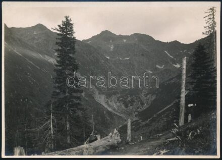 cca 1910 Fogarasi-havasok, Erdélyi Mór felvétele, hátulján feliratozva, 11,5×16 cm / Fagaras Mountains, with notes on its back, 11,5×16 cm