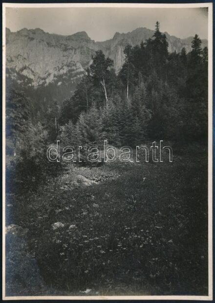 cca 1910 Brassó-vidéki hegyek, Erdélyi Mór felvétele, hátulján feliratozva, 11,5×16 cm / / Brasov (Kronstadt), Piatra Craiului, mountains, vintage photo by Mór Erdélyi, 16x11,5 cm