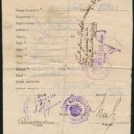 1919 Nagyréde román személyi és utazási igazolvány