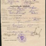 1919 Nagyréde román személyi és utazási igazolvány - Image 2